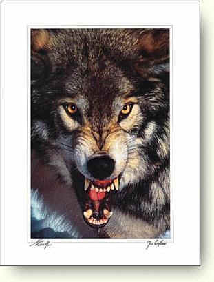 loup16